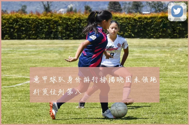 意甲球队身价排行榜揭晓国米领跑科莫位列第八