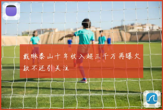 戴琳泰山十年收入超三千万再曝欠款不还引关注