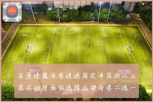 苗原透露海港追逐周定洋若浙江玉昆不动将面临选择成都海港二选一