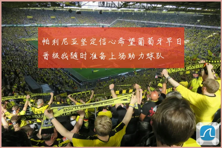 帕利尼亚坚定信心希望葡萄牙早日晋级我随时准备上场助力球队