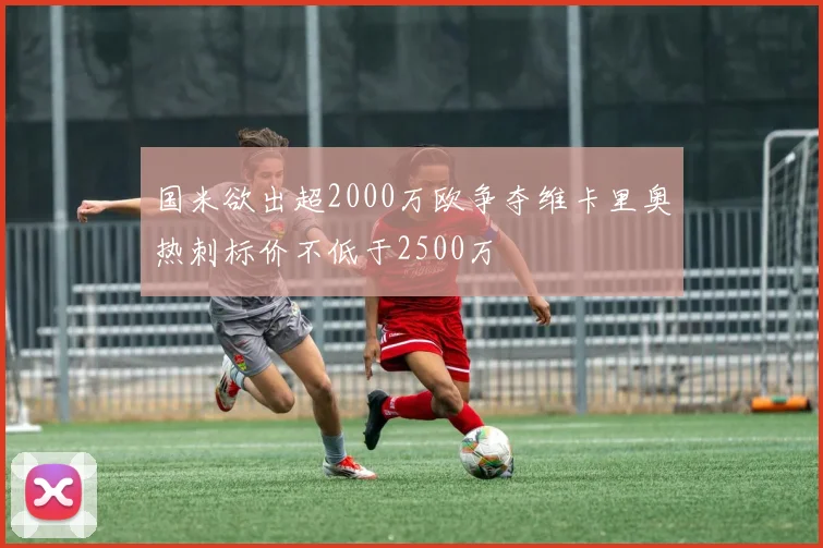 国米欲出超2000万欧争夺维卡里奥热刺标价不低于2500万